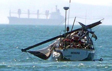 Whale Damaged Sailboat